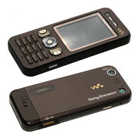 Sony Ericsson W890i Manual Del Usuario