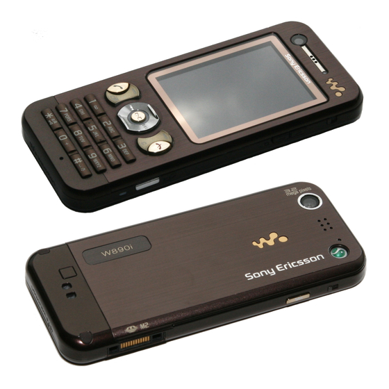 Sony Ericsson W890i Manual Del Usuario