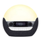 Lumie Bodyclock Luxe 750DAB - Manual del despertador de luz