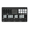 Manual del Korg nanoKEY Studio (EFGSJ 4)
