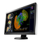 Monitores Eizo RadiForce RX650 Instrucciones De Uso