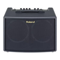 Roland Acoustic Chorus AC-60 Manual Del Usuario