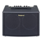 Roland Acoustic Chorus AC-60
