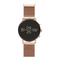 Relojes SKAGEN Falster Gen 4 Connected Manual De Instrucciones