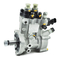 Bombas Bosch Common Rail CB 18 Manual Original