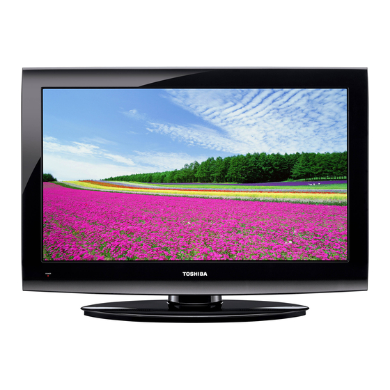 Toshiba 19C100U Manual Del Usuario