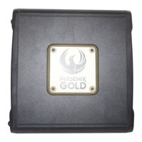 Phoenix Gold RX2 1000.1 Manual De Usuario