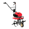 Equipos Agrícolas Honda Power Products F220 Manual De Explicaciones
