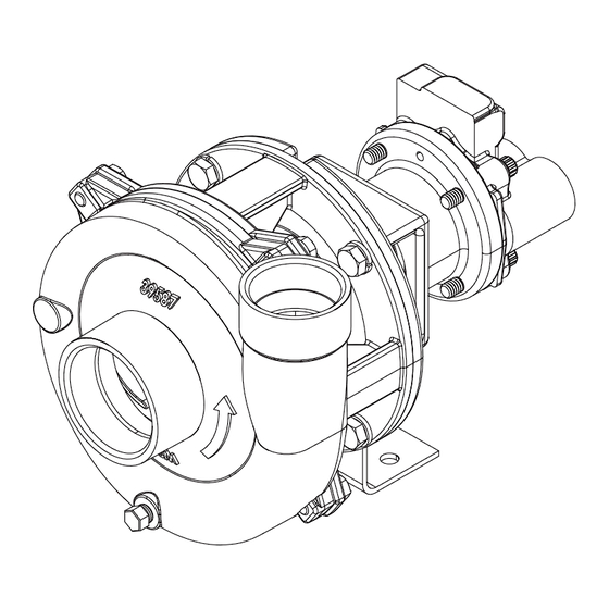 Ingersoll Rand MP PUMPS CHEMFLO 4 56C Manual Del Operador