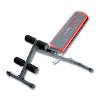 Weider WEEVBE5909.0 Manual Del Usuario