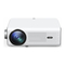 Manual del proyector Vankyo Leisure 495W