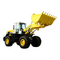 Cargadores Frontales Foton FL958G Manual De Mantenimiento Y Operacion