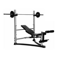 Energetics Deluxe Power Bench 4.1 Manual De Instrucciones