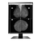 Monitores Eizo RadiForce GX560 Instrucciones De Uso