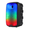 ProScan PA689 - Manual del altavoz Bluetooth de 6,5