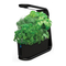 Guía de Configuración Rápida de AeroGarden Sprout