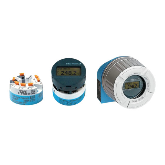 Endress+Hauser iTEMP TMT84 Manual De Instrucciones