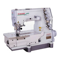 Pegasus W1562N-05 Instrucciones Para El Manejo