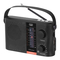 Radio Trevi RA 7F25 BT Manual Del Usuario