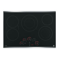 GE PP9030 Manual Del Propietário