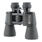 Prismáticos Celestron UPCLOSE G2 Manual De Instrucciones
