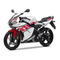 Motocicletas Yamaha TZR50 2008 El Manual Del Propietario