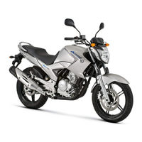 Yamaha FAZER YS250 Manual Del Propietário