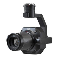 Dji ZENMUSE P1 Guia De Inicio Rapido