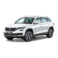 Skoda KODIAQ 2017 Manual De Instrucciones