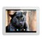 Tabletas Yarvik Noble 9.7 Manual De Instrucciones