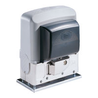 CAME BK -1210 Manual De Instrucciones