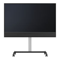 Bang & Olufsen BeoVision Horizon Serie Manual De Instrucciones