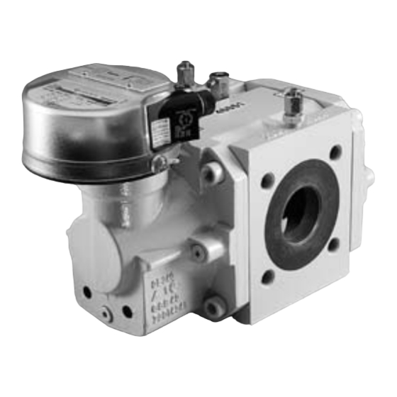 Elster Instromet RVG Manual De Instrucciones