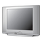TV Sanyo DS20425 Manual Del Propietário
