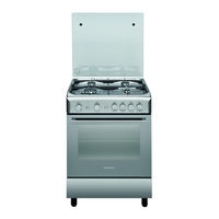 Ariston A6GG1F EX Manual De Instrucciones