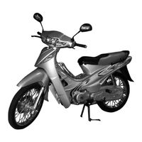 ITALIKA EX110-3AII ARGENTA Manual De Propietario