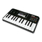 Akai Professional SynthStation25