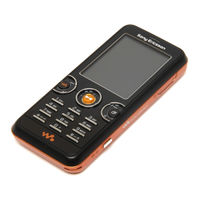 Sony Ericsson W610i Guia Del Usuario