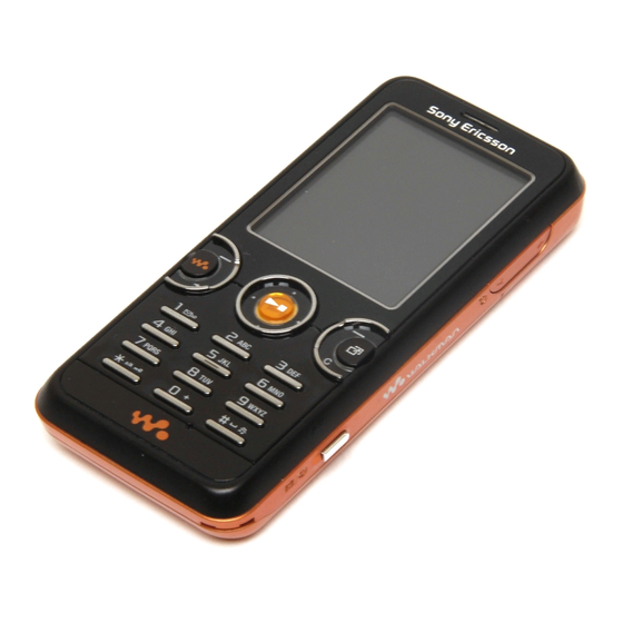 Sony Ericsson W610i Guia Del Usuario