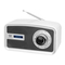 Radio Trevi DAB 792 R Manual De Uso