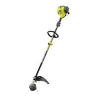 Ryobi RY253SS Guia Rápido