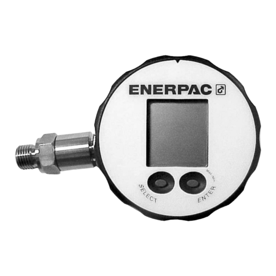 Enerpac DGR-1 Hoja De Instrucciones