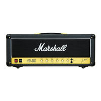 Marshall JCM 800 Serie Instrucciones Importantes