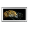TV Samsung LS03A Manual Del Usuario