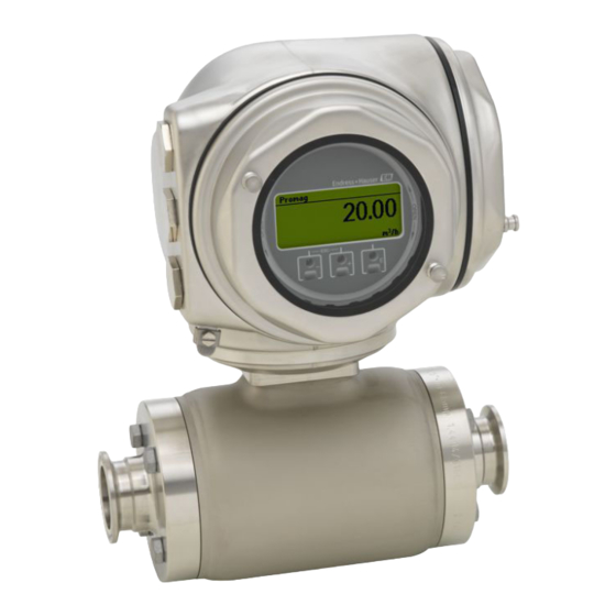 Endress+Hauser Proline Promag H 300 Manual De Instrucciones