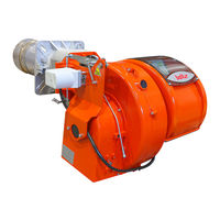 baltur TBG 55 P Manual De Instrucciones