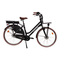Wayscral EVERYWAY E-CARRIER