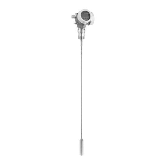 Endress+Hauser Levelflex FMP50 Manual De Instrucciones