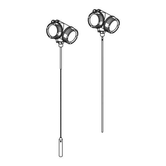 Endress+Hauser Levelflex FMP50 Manual De Instrucciones Abreviado