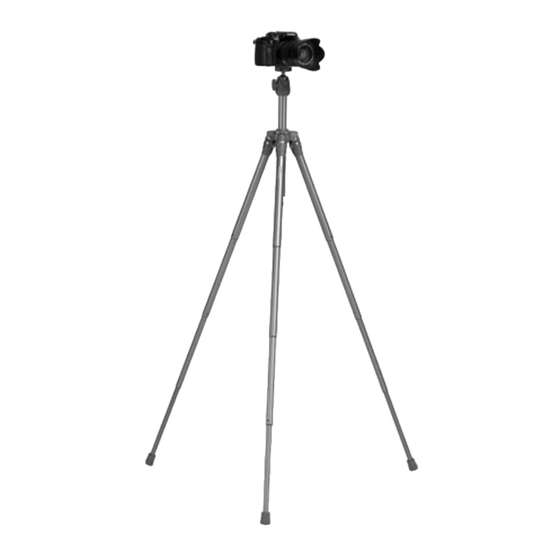 Rollei Compact Traveler Star S3 Plus Instrucciones